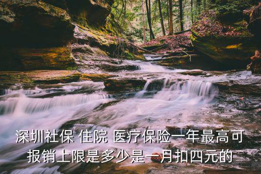 深圳社保 住院 醫療保險一年最高可報銷上限是多少是一月扣四元的