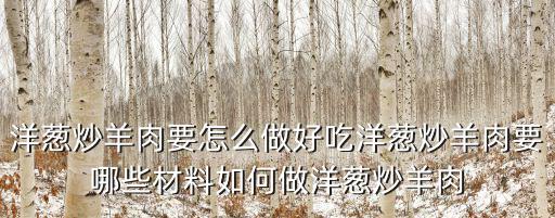 洋蔥炒羊肉，洋蔥炒羊肉要怎么做好吃洋蔥炒羊肉要哪些材料如何做洋蔥炒羊肉