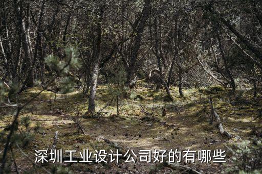深圳工業(yè)設(shè)計(jì)公司好的有哪些