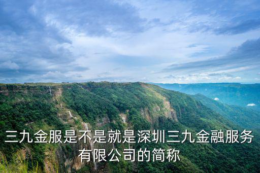 三九金服是不是就是深圳三九金融服務有限公司的簡稱