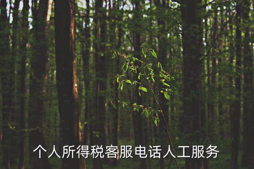 個人所得稅客服電話人工服務(wù)