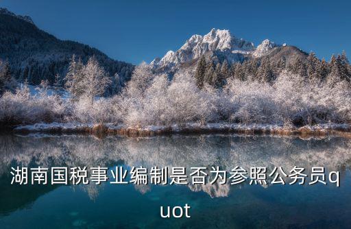 湖南國稅，湖南省稅務局地址