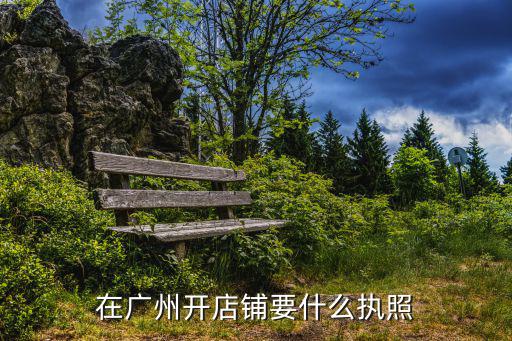 廣州營(yíng)業(yè)執(zhí)照，在廣州市辦理營(yíng)業(yè)執(zhí)照的事宜