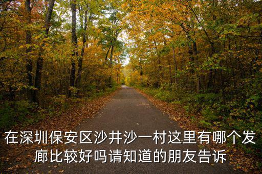 深圳沙井龍哥，深圳沙井的哥哥樂在那里
