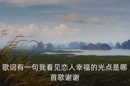 歌詞有一句我看見戀人幸福的光點是哪首歌謝謝