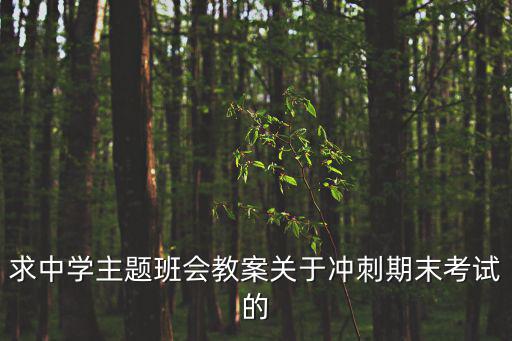 求中學主題班會教案關于沖刺期末考試的