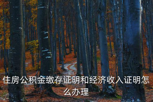 公積金繳納證明，住房公積金繳存證明和經濟收入證明怎么辦理