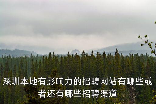 深圳本地有影響力的招聘網站有哪些或者還有哪些招聘渠道