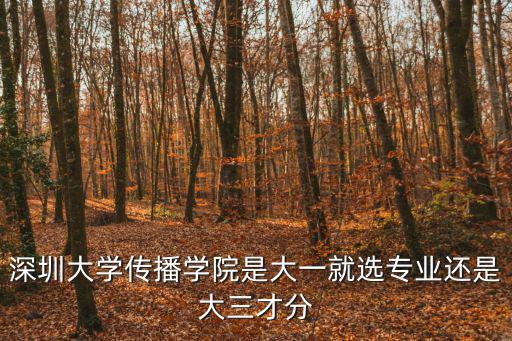 深圳大學傳播學院是大一就選專業還是大三才分