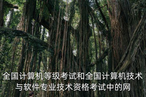全國(guó)計(jì)算機(jī)等級(jí)考試和全國(guó)計(jì)算機(jī)技術(shù)與軟件專業(yè)技術(shù)資格考試中的網(wǎng)