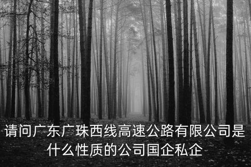 請問廣東廣珠西線高速公路有限公司是什么性質的公司國企私企