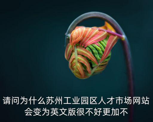 請問為什么蘇州工業園區人才市場網站會變為英文版很不好更加不