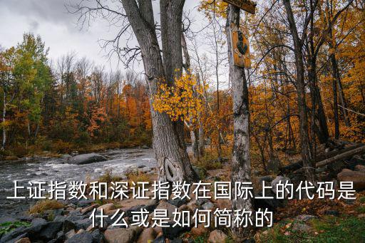 上證指數和深證指數在國際上的代碼是什么或是如何簡稱的