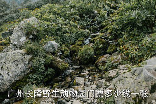 廣州長隆野生動物園門票多少錢一張
