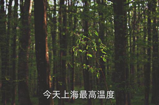 今天上海最高溫度