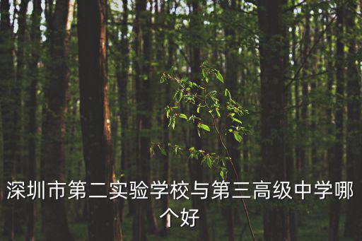 深圳市第二實驗學校與第三高級中學哪個好