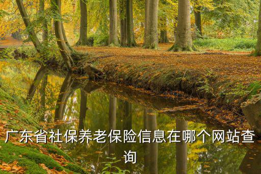 廣東省社保養老保險信息在哪個網站查詢