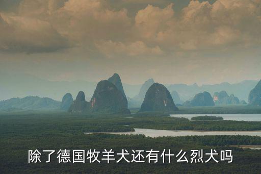除了德國牧羊犬還有什么烈犬嗎