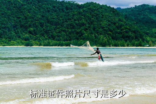 標準證件照片尺寸是多少