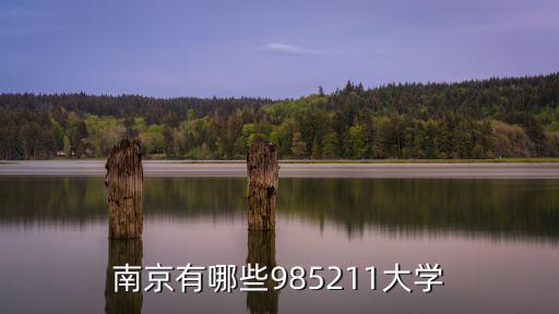 南京有哪些985211大學