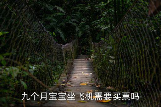 嬰兒坐飛機要買票嗎，九個月寶寶坐飛機需要買票嗎