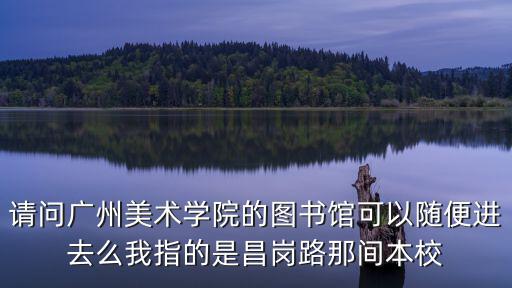 請問廣州美術學院的圖書館可以隨便進去么我指的是昌崗路那間本校