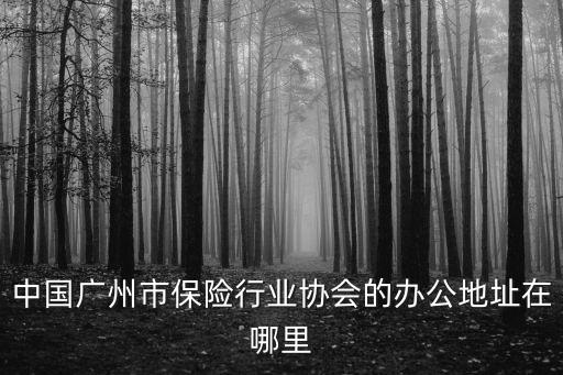 廣東省保險(xiǎn)行業(yè)協(xié)會，中國廣州市保險(xiǎn)行業(yè)協(xié)會的辦公地址在哪里