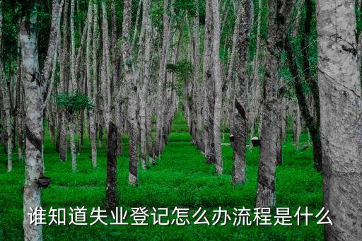 如何辦理失業(yè)登記，失業(yè)證怎么辦理