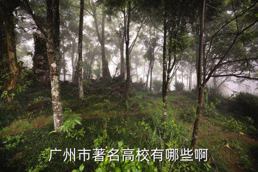 廣州市著名高校有哪些啊