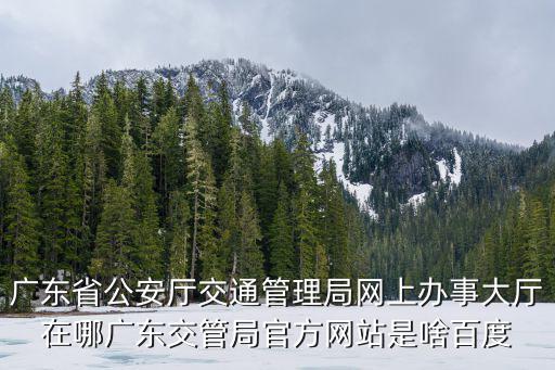 廣東省公安廳交通管理局網上辦事大廳在哪廣東交管局官方網站是啥百度
