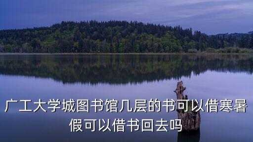 廣工大學(xué)城圖書館幾層的書可以借寒暑假可以借書回去嗎