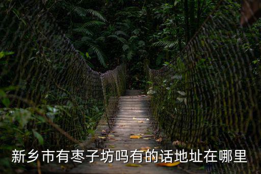 棗子坊，棗子坊除了做棗糕還可以加些什么產品