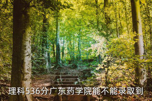 理科536分廣東藥學院能不能錄取到