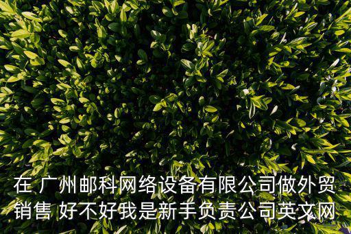 在 廣州郵科網絡設備有限公司做外貿銷售 好不好我是新手負責公司英文網