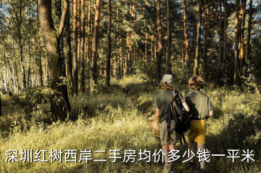 深圳紅樹西岸二手房均價多少錢一平米