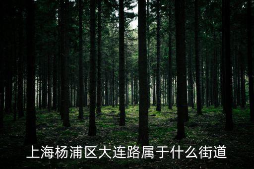 上海楊浦區(qū)大連路屬于什么街道