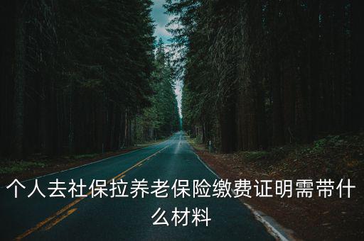 養老保險繳費證明，個人去社保拉養老保險繳費證明需帶什么材料