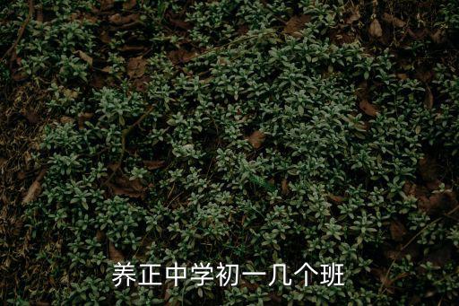 養(yǎng)正中學(xué)初一幾個班