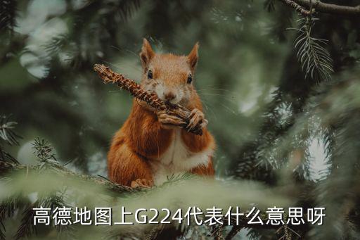 高德地圖上G224代表什么意思呀