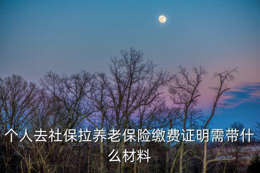 個人去社保拉養老保險繳費證明需帶什么材料