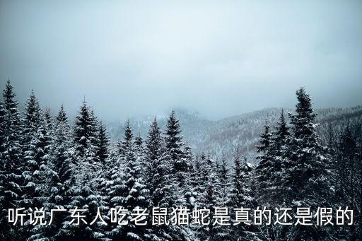 廣東人吃老鼠，為什么湛江人吃老鼠知了蛇還有很多難道非典是湛江人引起的