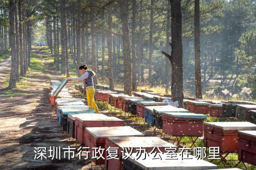 深圳市行政復議辦公室在哪里