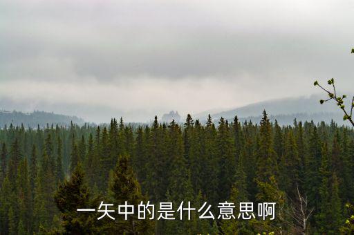 一矢中的是什么意思啊