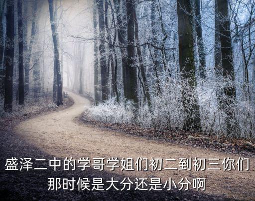 盛澤二中，盛澤二中的學哥學姐們初二到初三你們那時候是大分還是小分啊