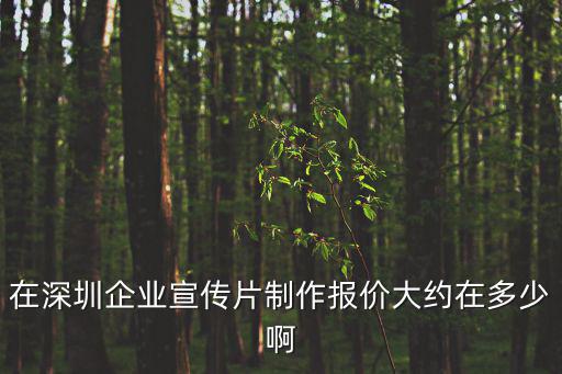 在深圳企業宣傳片制作報價大約在多少啊