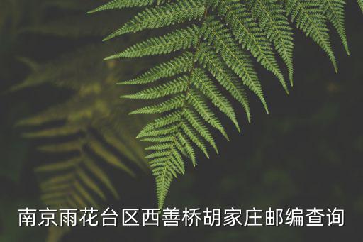 南京雨花臺區西善橋胡家莊郵編查詢