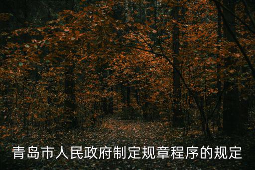 青島市政府，青島市人民政府制定規章程序的規定