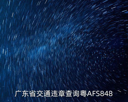 廣東省交通違章查詢粵AFS848