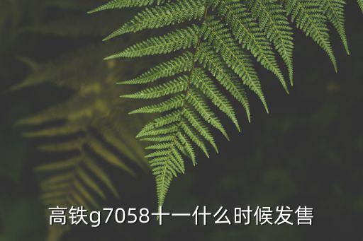 高鐵g7058十一什么時候發售