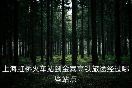 上海虹橋火車站到金寨高鐵旅途經過哪些站點